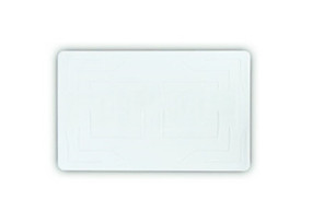 特种纸质电子标签